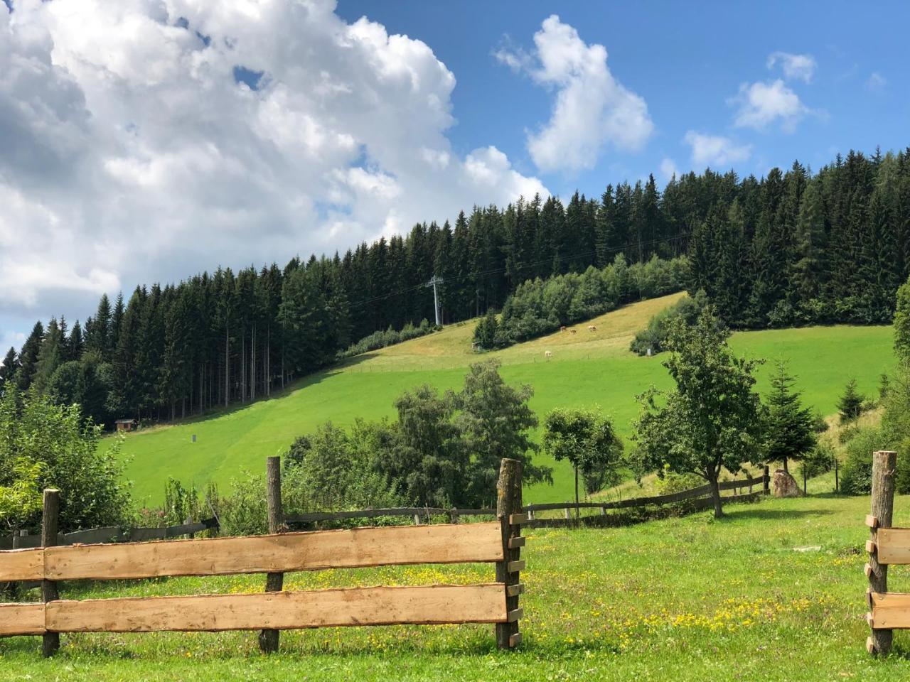 Waldheimathuette Sankt Kathrein am Hauenstein Exterior foto